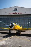 North American T-6 Texan for sale