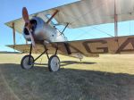 Sopwith Pup / Dove for sale