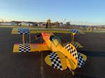 Pitts S-1 T Raven for sale