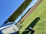 Cessna 170 for sale