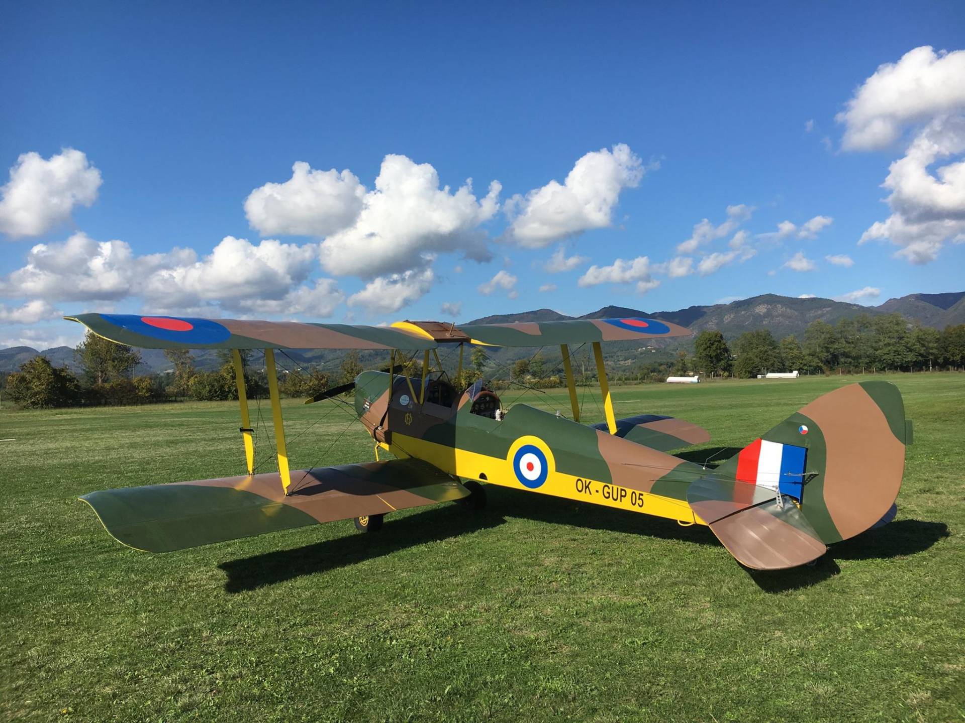 De Havilland Tiger Moth replica
