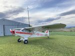 Piper Super Cub for sale  PA18