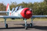 Yakovlev Yak-52 *TOP* for sale