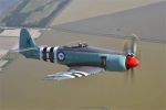 Hawker Sea Fury FB.11 for sale
