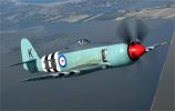 Hawker Sea Fury FB.11 for sale