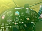 Skyfox CA-25 project for sale
