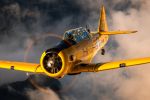North American T-6 Texan J for sale