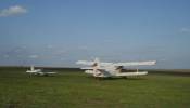 Antonov An-2 Cargo for sale